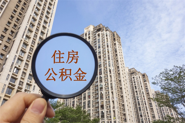 惠东公积金全取手续（全取住房公积金 手续）